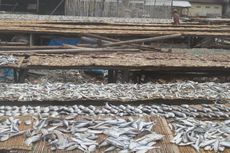 Nelayan di Muara Angke Juga Jual Ikan Tawar dari Luar Jakarta