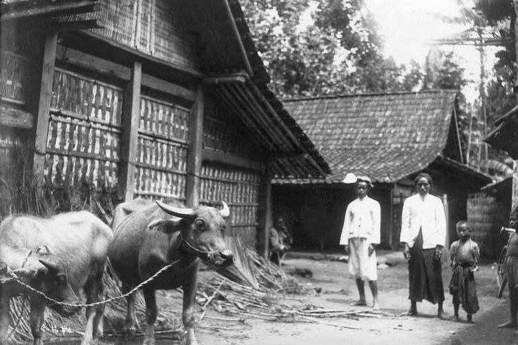 Kehidupan di Kedu, Temanggung sekitar tahun 1910 hingga 1915.
