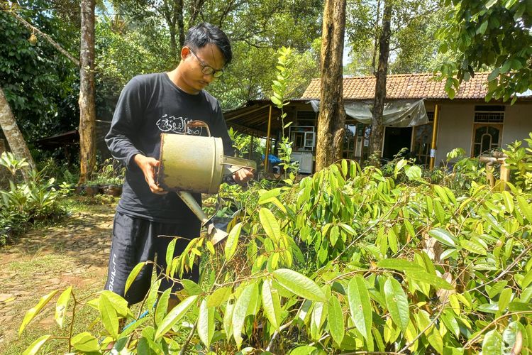 Ahmad Faisol (27), warga Kecamatan Kemranjen Kabupaten Banyumas ini sukses budidaya bibit durian hingga jual beli buahnya. Ia menjalani bisnis durian bawor ini sejak setahun yang lalu, setelah menyelesaikan pendidikan di Pondok Pesantren An-Nawawi Berjan, Purworejo Jawa Tengah.