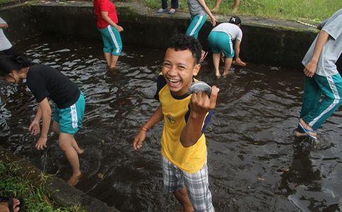 Visit Pentingsari in Yogyakarta to Experience Village Life in Indonesia