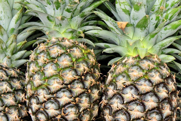 Ilustrasi nanas, buah nanas.