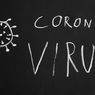 Dinkes Tangsel Akan Fasilitasi Jemputan jika Ada Warga Terindikasi Corona