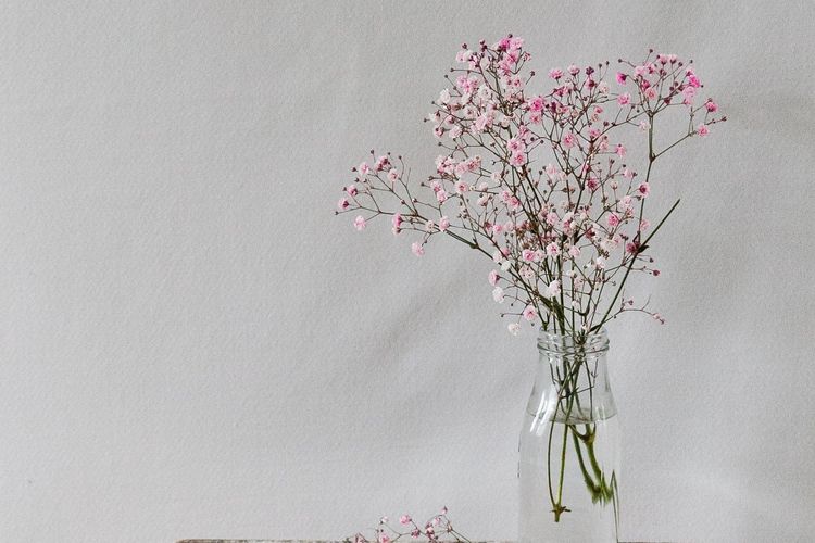 Ilustrasi botol kaca yang dimanfaatkan sebagai vas bunga. 