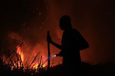 Pemerintah Terus Evaluasi Penanganan Kebakaran Hutan dan Lahan
