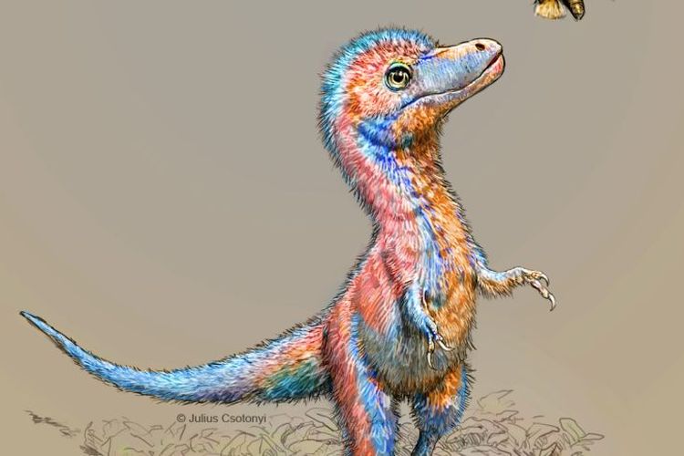 Gambar ilustrasi bayi tyrannosaurus dari Periode Kapur (Cretaceous Period) di Amerika Utara. Ilmuwan menemukan bayi dinosaurus karnivora, termasuk T.rex, terlahir dengan gigi dan siap berburu.