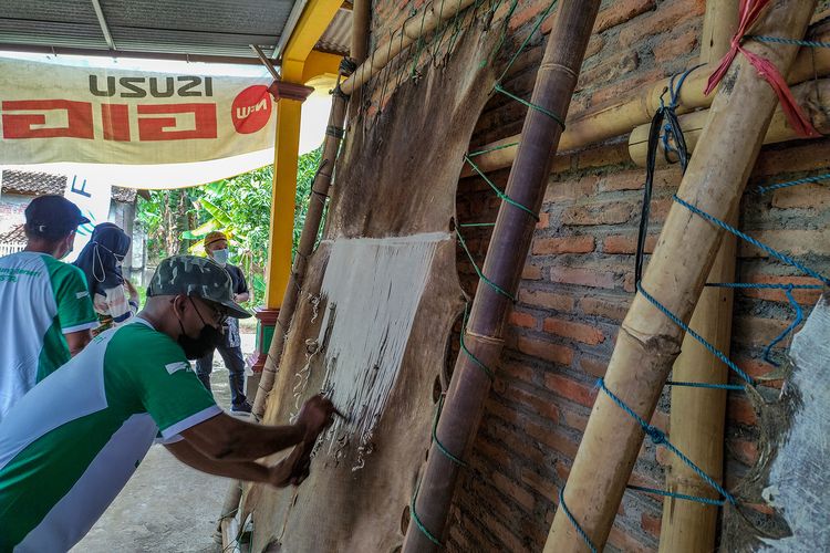 Perajin wayang kulit menghilangkan bulu dari kulit kerbau.