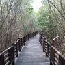 Hutan Mangrove Gunung Anyar dan 