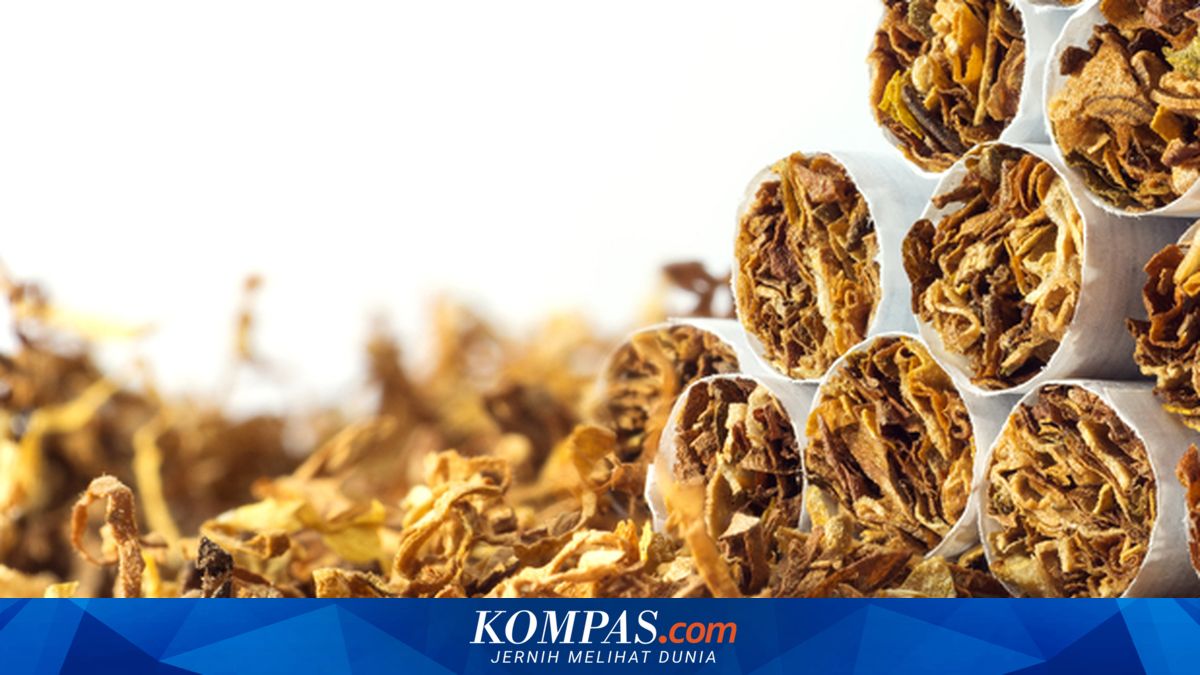 Kemasan Polos Rokok Tuai Sorotan dari Konsumen hingga Petani