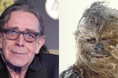 Nyaris Dilelang, Memorabilia Star Wars Peter Mayhew Dikembalikan