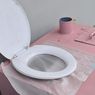 Mengenal Toilet Pengompos, Jamban Ramah Lingkungan Hemat Air