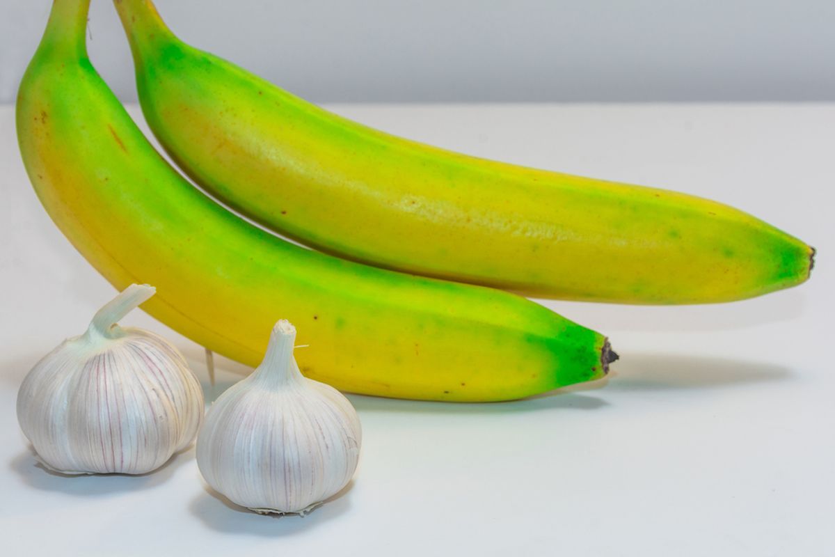 Ilustasi bawang putih dan pisang
