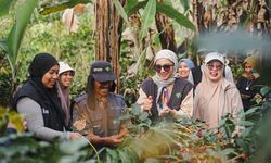 Lewat Hulu Trip Pemberdayaan Kopi, Dompet Dhuafa Sulsel Ajak Peserta Kenali Budidaya Kopi