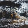 46 Persen Sungai Indonesia Tercemar Limbah, Peneliti UP Beri Solusi