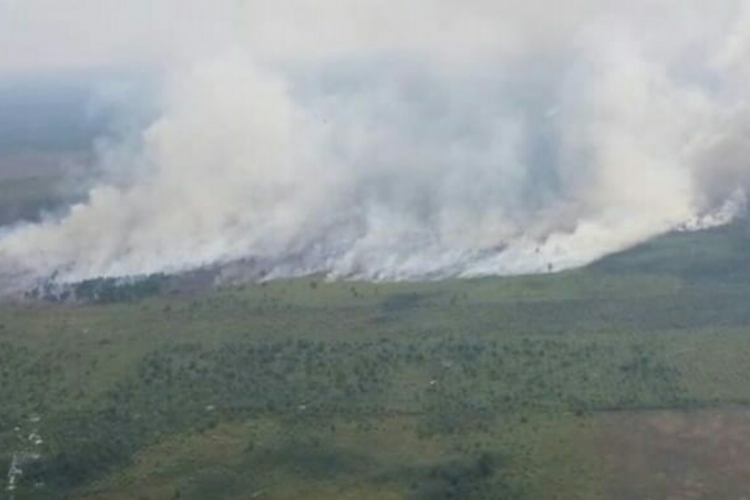 Kebakaran hutan dan lahan (karhutla) di Kecamatan Bukit Batu, Kabupaten Bengkalis yang berbatasan dengan wilayah Kota Dumai, Riau, Selasa (26/2/2019). Upaya pemadaman dibantu dengan water bombing dengan menggunakan helikopter Super Puma milik Perusahaan Sinarmas. Dok Tim Satgas Karhutla Riau