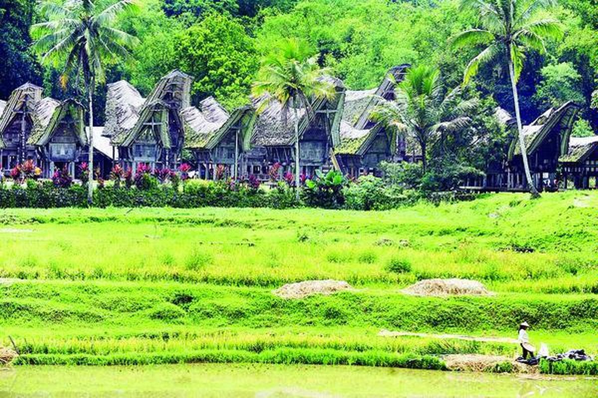 Tongkonan berumur ratusan tahun di Kampung Kete Kesu, Rantepao, Toraja Utara, Sulawesi Selatan, Rabu (29/12).
