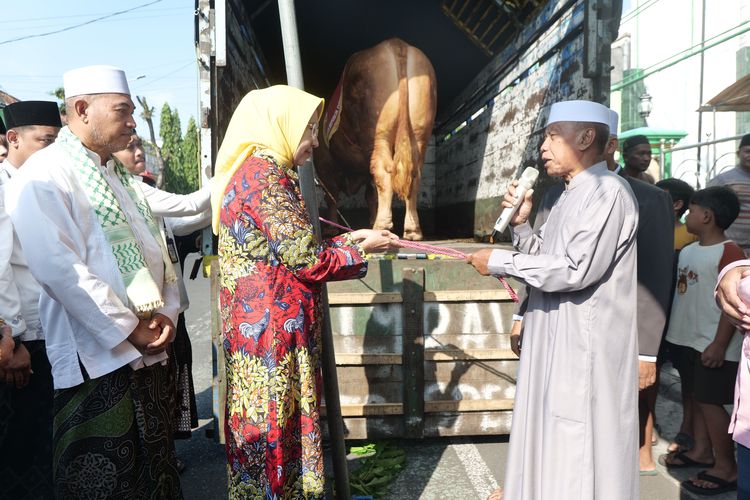 Masjid Tak Muat, Sapi Kurban Prabowo 1,2 Ton Disembelih di RPH Lumajang