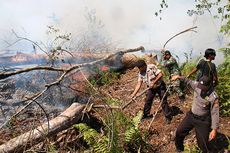 Kebakaran Lahan Gambut, Polres Aceh Barat Periksa 14 Orang