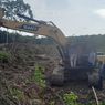 Deforestasi, 1,9 Juta Hektare Hutan Indonesia Rusak Dalam 2 Tahun 