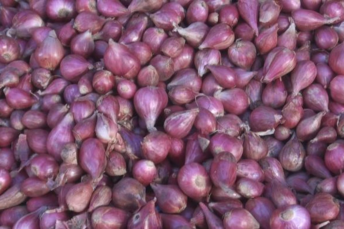 bawang merah yang dijual di pasar Indralaya Ogan Ilir dengan harga yang cukup tinngi