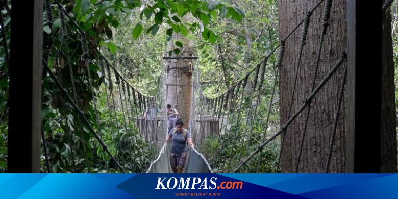 Menikmati Alam Liar Gunung Kinabalu Halaman All Kompas Com