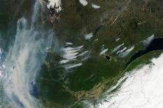 Luas Kebakaran Hutan di Kanada Sudah Lampaui Sepertiga Pulau Jawa