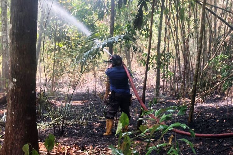 Petugas damkar tengah berupaya memadamkan api yang membakar lahan di Kabupaten Cianjur, Jawa Barat, Senin (9/10/2023). Dalam kebakaran tersebut seorang buruh tani di temukan tewas terbakar.