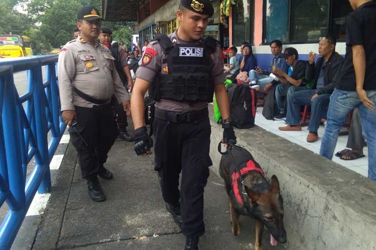 Polisi kerahkan anjing pelacak dalam sterilisasi keamanan di Terminal Bus Kampung Rambutan, Jakarta Timur, Selasa (24/12/2019).