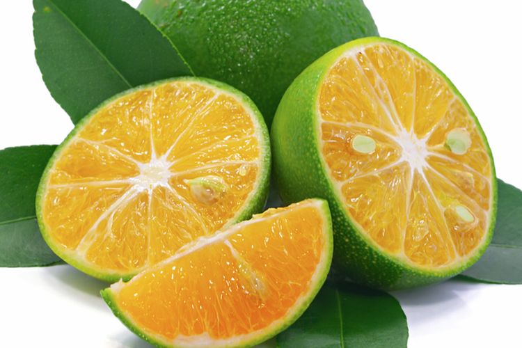 Ilustrasi buah lemon cui atau jeruk kunci.