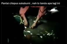 Beredar Video Ikan Naik ke Daratan di Pantai Citeprus, Ini Kata BMKG