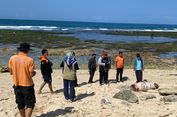 Lumba-lumba Berukuran 2 Meter Ditemukan Mati di Gunungkidul