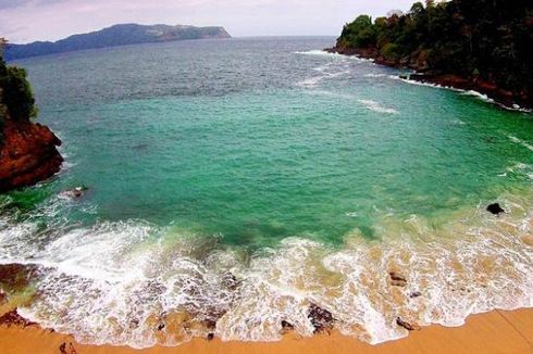 Harga Tiket Masuk dan Cara Melihat Penyu di Pantai Sukamade Banyuwangi