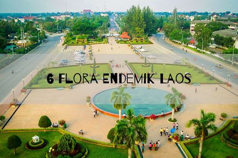 6 Flora Endemik Laos
