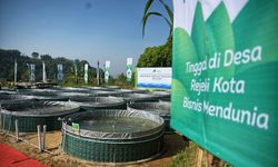 Sudah Ada 8.998 Orang Daftar Petani Milenial, Bagaimana Proses Seleksinya?