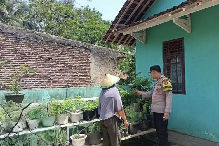 Dari Pekarangan ke Meja Makan, Warga Pesawaran 