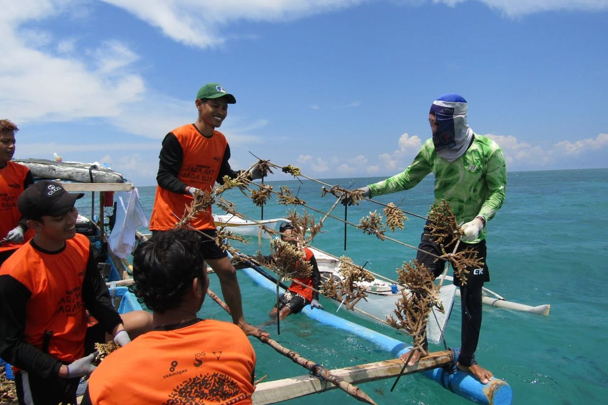 Ket. Foto: Karang Taruna Persana malalukan tranplantasi karang di wilayah Sadulang