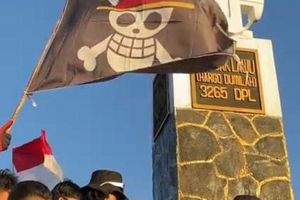 Bendera One Piece Berkibar, HAM Bergetar