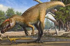 Dinosaurus Terbesar di Tanah Eropa Ditemukan