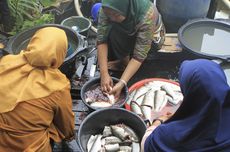 Perubahan Iklim Beri Dampak Terhadap Kehidupan pada Anak dan Perempuan Pesisir