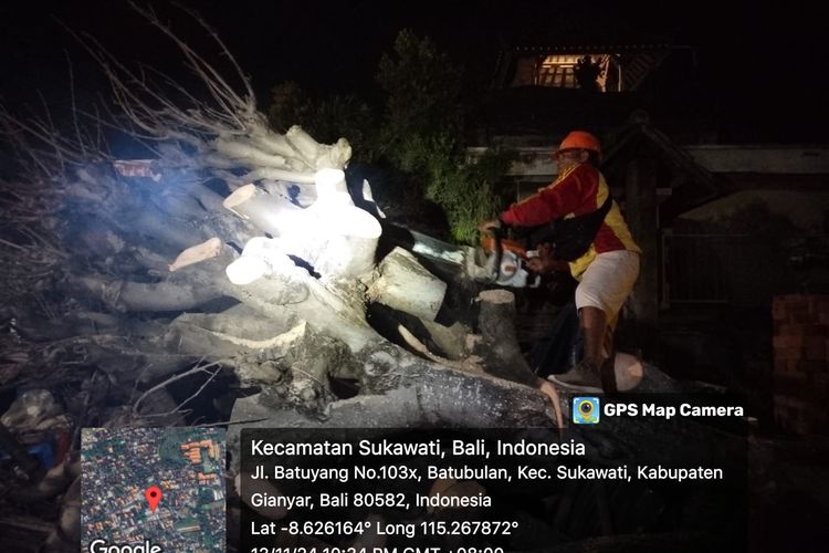 Petugas BPBD Gianyar saat memangkas dahan pohon yang tumbang menimpa sebuah warung Lalapan di di Jalan Batuyang, Desa Batubulan, Kecamatan Sukawati, Kabupaten Gianyar, Bali, tertimpa pohon tumbang, pada Rabu (13/11/2024) malam. /Dok. BPBD Gianyar 
