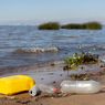 Polusi Plastik Percepat Pertumbuhan Alga Beracun