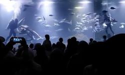 Libur Lebaran, Aquarium Indonesia di Pangandaran Dipadati 1.500 Pengunjung Per Hari