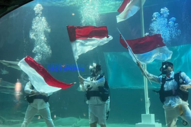 Rayakan HUT RI ke-81 di Sea World Ancol, Simak Jadwal Pengibaran Bendera Bawah Air