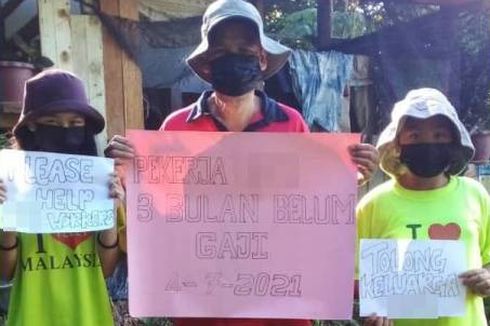 Lebih dari 1.000 Buruh Pabrik Kayu di Sabah Malaysia 3 Bulan Belum Digaji