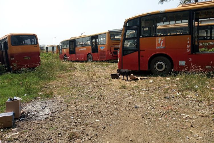 Ratusan bus Transjakarta terbengkalai di Kecamatan Dramaga, Kabupaten Bogor. Kamis (25/7/2019).