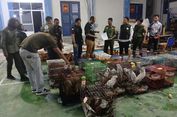 Hendak Selundupkan 53 Koli Satwa ke Thailand, Pria di Aceh Ditangkap