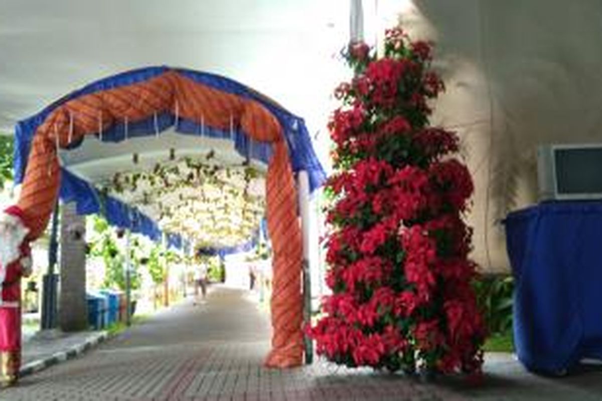 Pohon natal yang dibuat dari susunan pot tanaman kastuba di Gereja Katedral, Jakarta Pusat. 