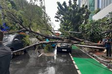 Prabowo Segera Terbitkan Inpres Penggunaan Aset 'Tidur' Milik Pemerintah untuk UMKM