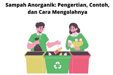 Sampah Anorganik: Pengertian, Contoh, dan Cara Mengolahnya