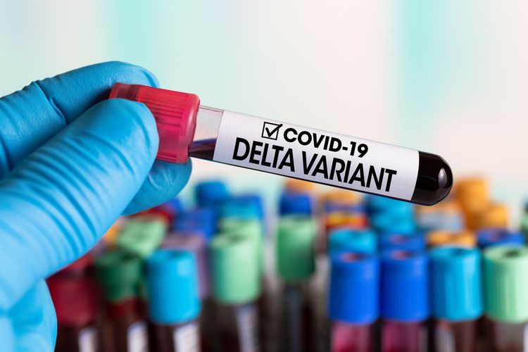 Ilustrasi varian virus corona Delta. Varian ini pertama kali diidentifikasi di India, sebelumnya dinamai B.1.617.2. Virus corona varian Delta.