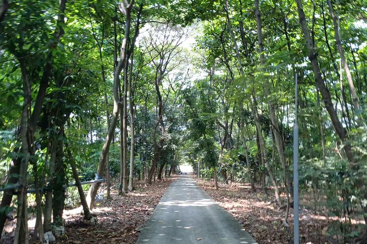 Hutan Kota Rawa Malang Jakut Hadir dengan Danau dan Pengolahan Kompos